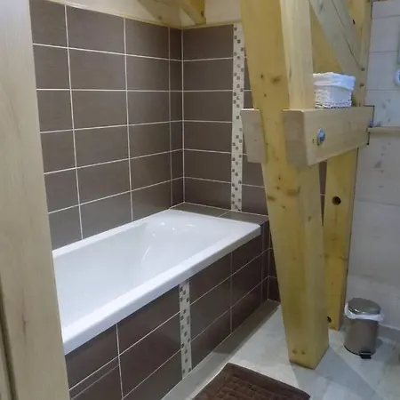 Des Charbonniers Avec Etang - 5 - Alpehytte *