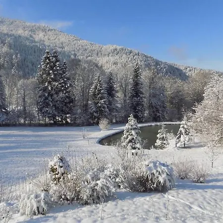 Des Charbonniers Avec Etang - 5 -