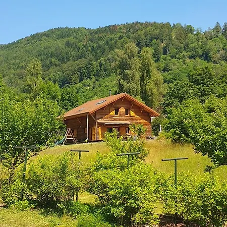 Des Charbonniers Avec Etang - 5 - Saint-Maurice-sur-Moselle