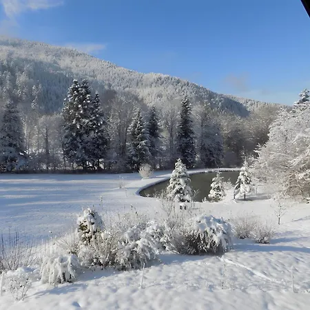 Chalet Des Charbonniers, Etang Alpesi faház Saint-Maurice-sur-Moselle