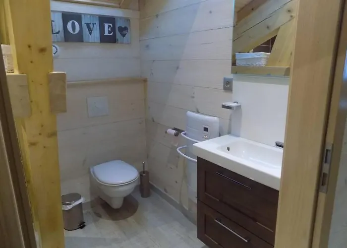 Des Charbonniers Avec Etang - 5 - 莫河畔圣莫利斯