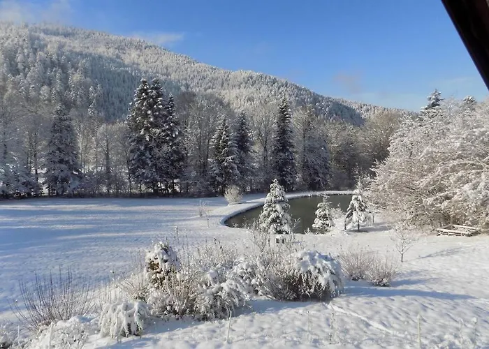 Des Charbonniers Avec Etang - 5 -