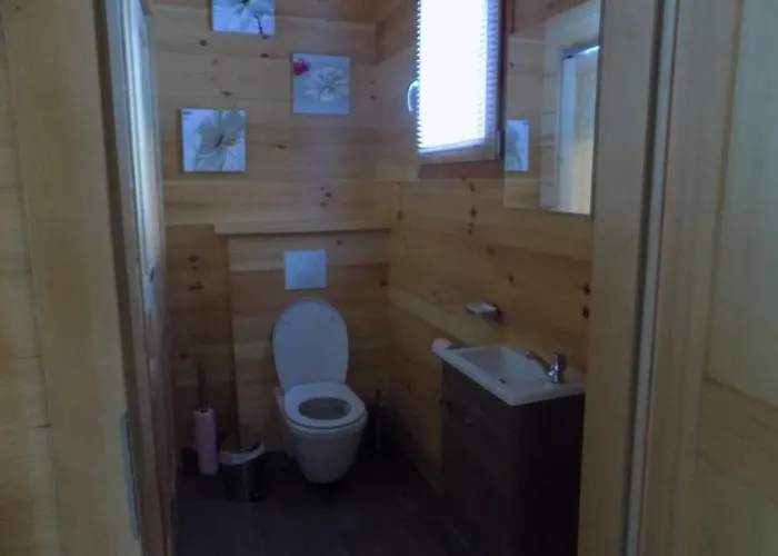 Des Charbonniers Avec Etang - 5 - * 莫河畔圣莫利斯