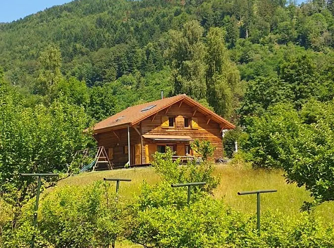 Des Charbonniers Avec Etang - 5 - 莫河畔圣莫利斯